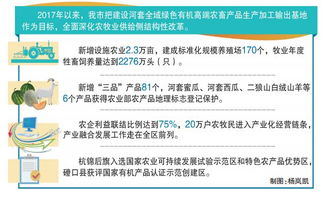 我市全力建设河套全域绿色有机高端农畜产品生产加工输出基地